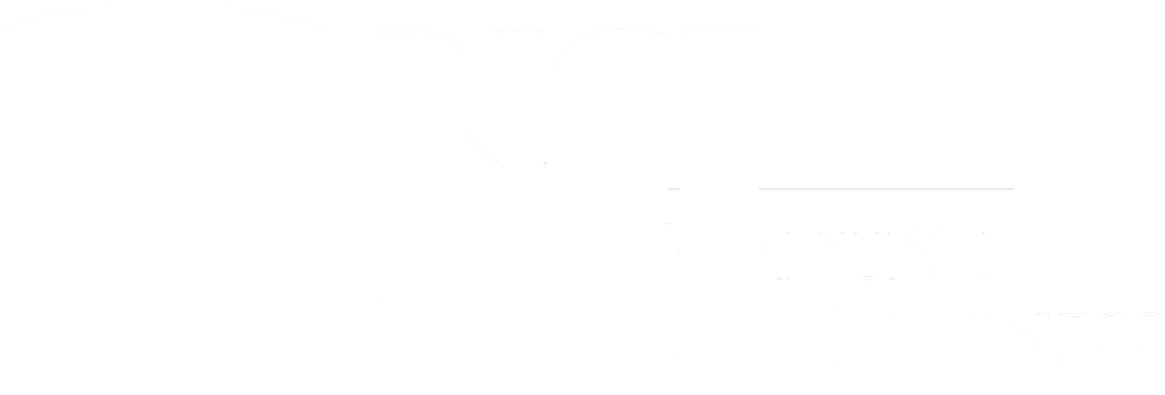 rice university logo 04