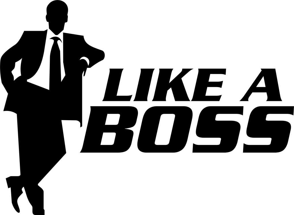 like a boss logo 02