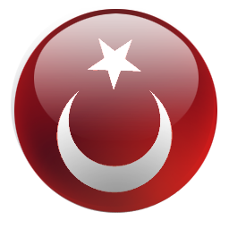 turk bayrağı logo 04