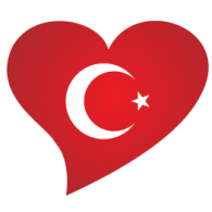 turk bayrağı logo 05